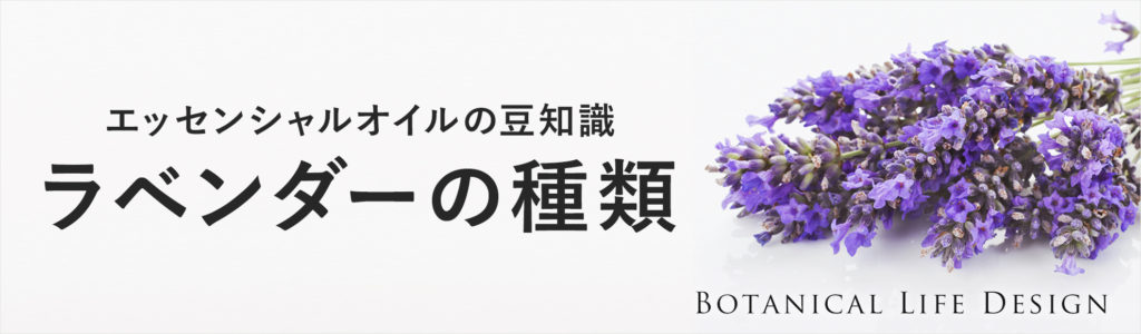ラベンダーの種類