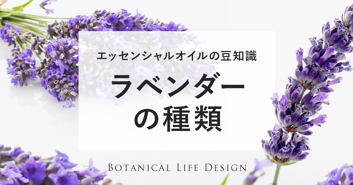 ラベンダーの種類