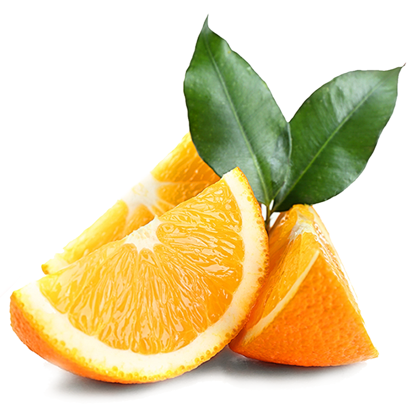 ドテラの広範囲にわたる生産者たちとのパートナーシップ